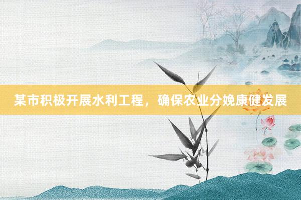 某市积极开展水利工程，确保农业分娩康健发展